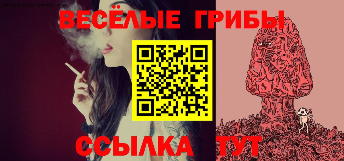 Галлюциногенные грибы Cubensis  Вход с VPN  Котлас 